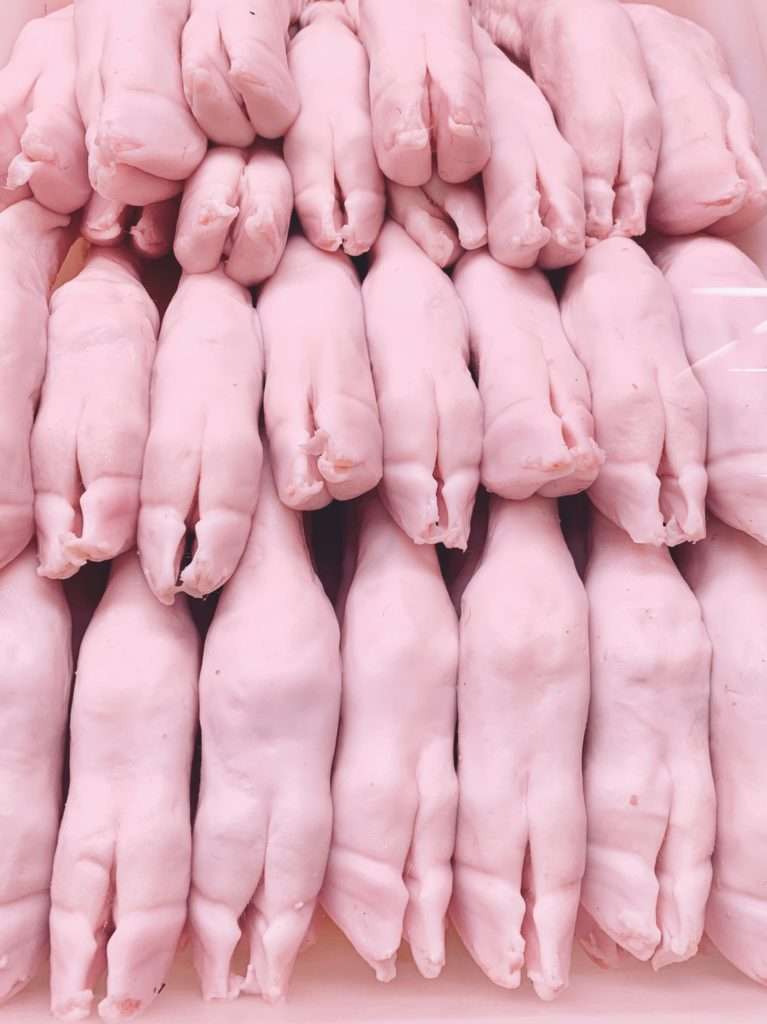 patitas Cruz Bujanda