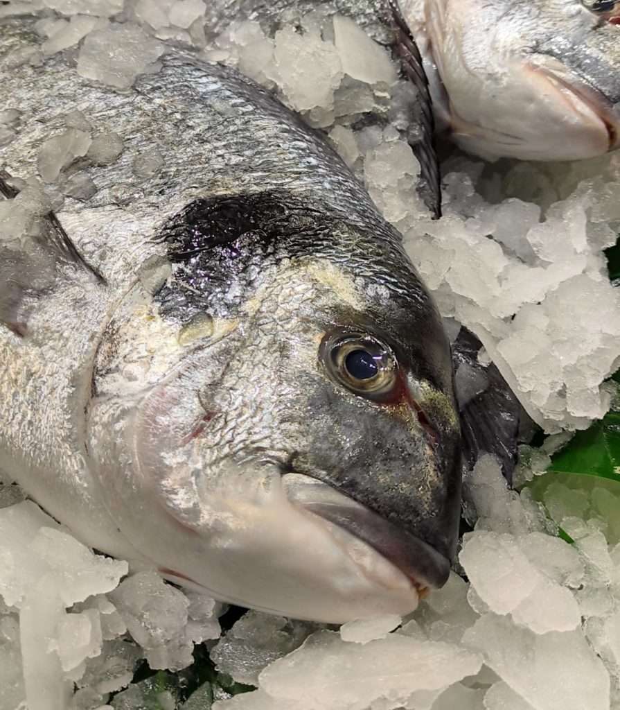 Dorada Nacional en Pescadería Iván Mercado del Corregidor Logroño