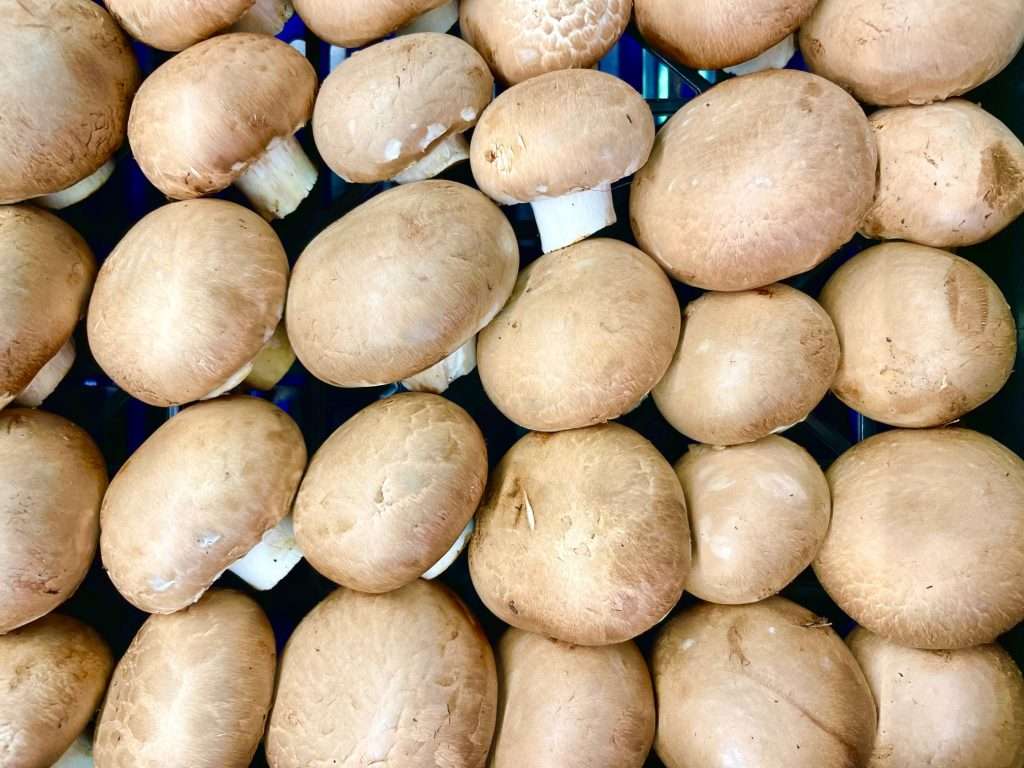 Champiñon Portobello Fruteria La Ribaza Logroño Mercado del Corregidor