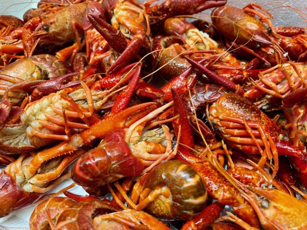 Oferta Cangrejos de rio Pescaderia Ivan Logroño Mercado del Corregidor
