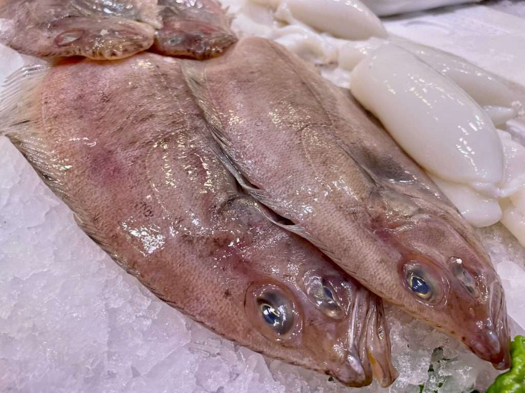 Oferta Gallito Domingo Navajas