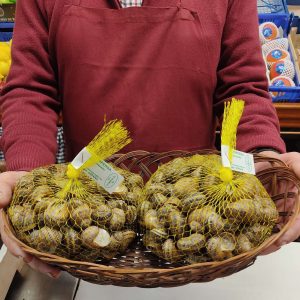 Caracoles 🐌