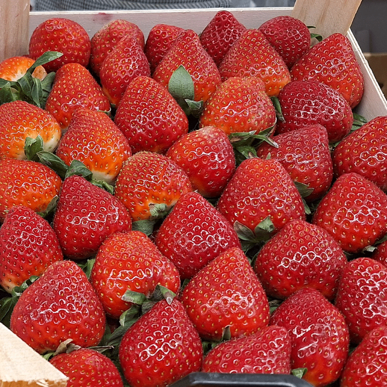 fresas