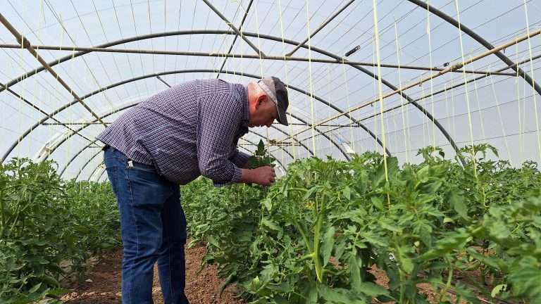 La Huerta del Cortijo en Logroño con Frutas Carlos Aragón