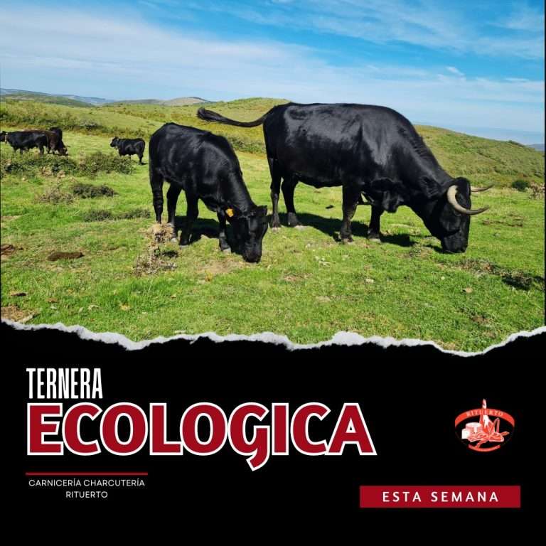 Ternera ecológica pazuengos en logroño - carnicería rituerto