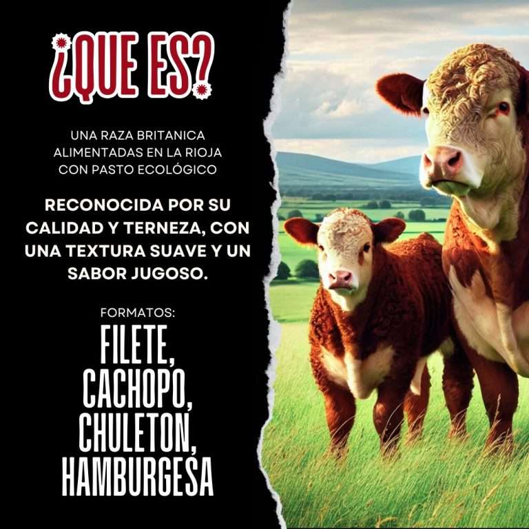 vaca hereford rituerto carniceria
