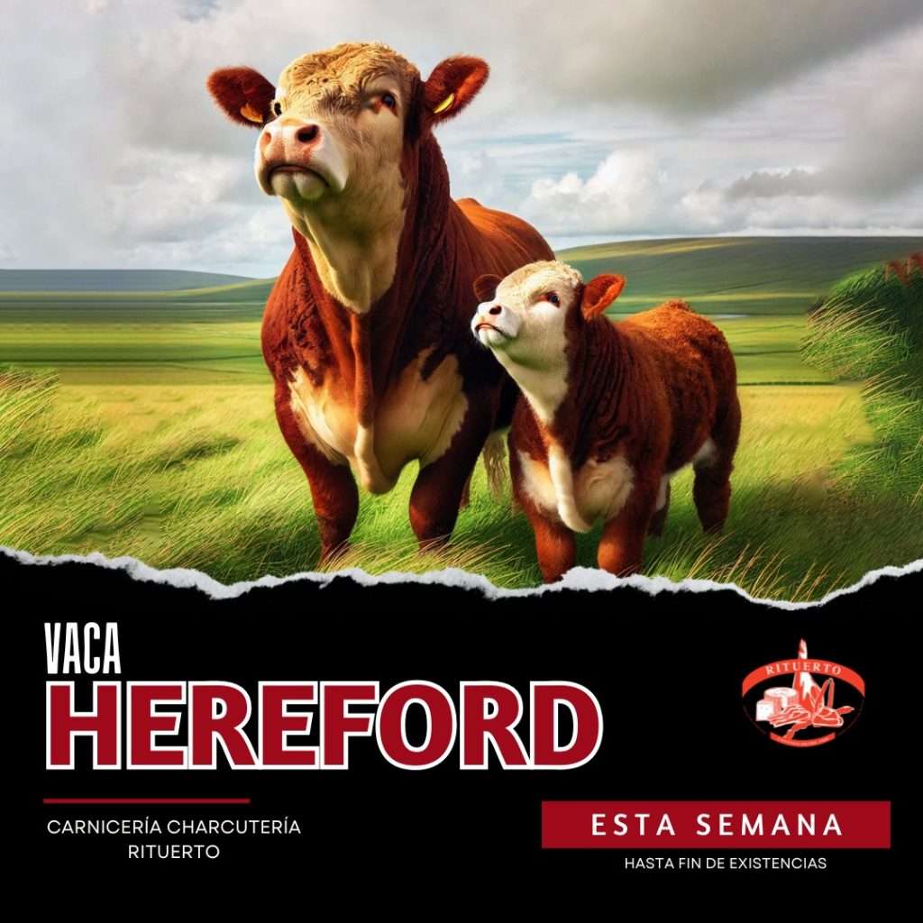 vaca hereford rituerto carniceria