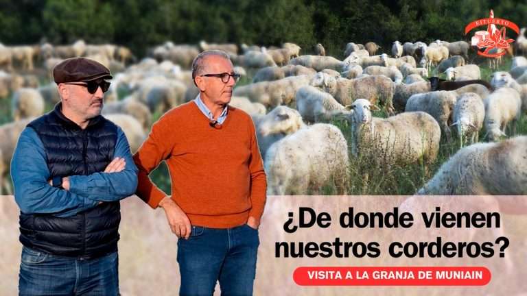 Comprar corderito logroño rituerto