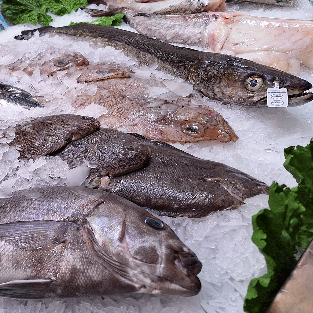 Pescado de temporada