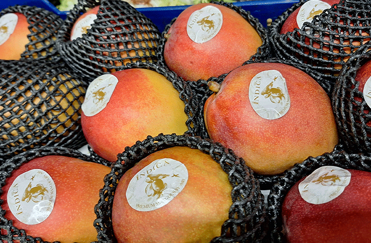 mangos