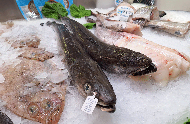 pescado 1