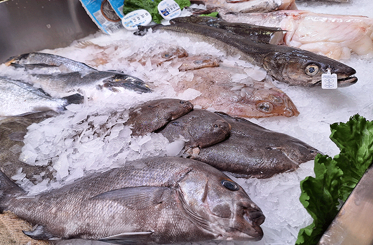 pescado 3